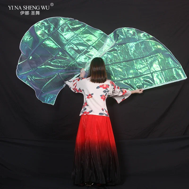 Egyptische Buikdansvoorstellin - Women'S Egyptian Accessories recensie en prijs